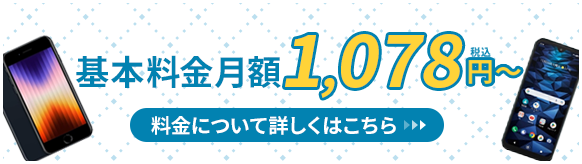 基本料金月額1,078円〜
