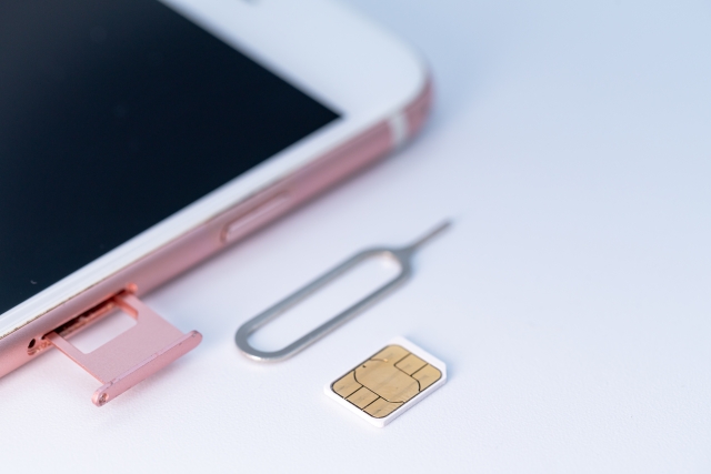 法人携帯 eSIM